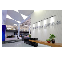 图片文本描述